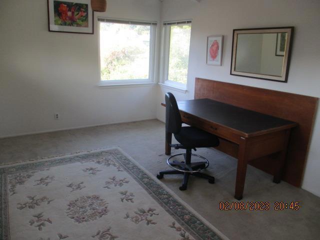 view of carpeted office space