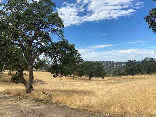 Listing photo 3 for 0 Hogans Mountain Rd, Coarsegold CA 93614