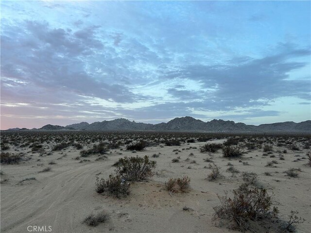 0 E End St, Lucerne Valley, CA 92356 - photo 5