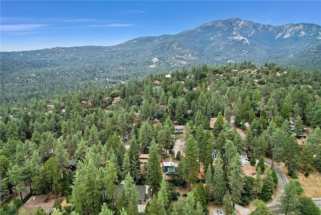 drone / aerial view featuring a mountain view