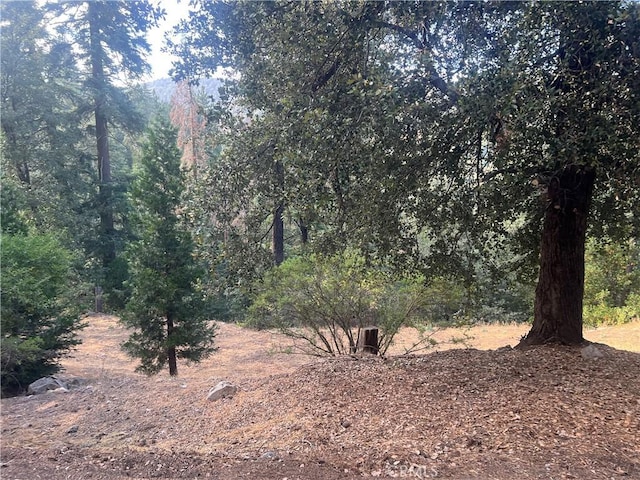 0 Long Beach Ave, Cedarpines Park CA, 92322 land for sale