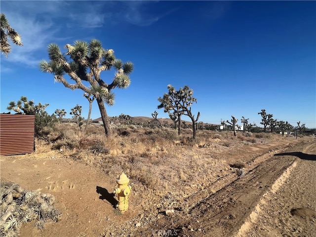 Listing photo 3 for 111 Wallaby, Yucca Valley CA 92284