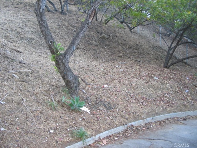 3619 Goodland, Studio City, CA 91604 - photo 9