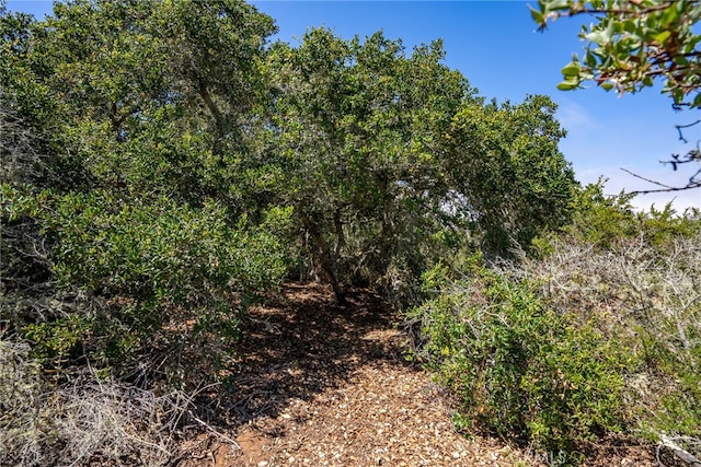 1210 Bayview Heights Dr, Los Osos, CA 93402