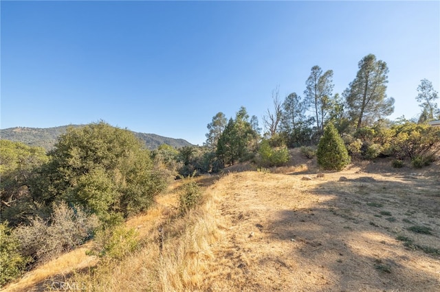 view of local wilderness featuring a mountain view