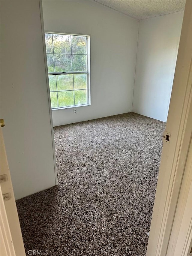 carpeted spare room featuring a textured ceiling