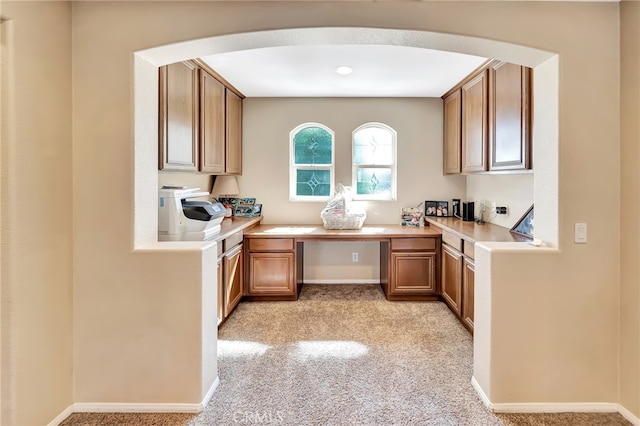 kitchen featuring light carpet