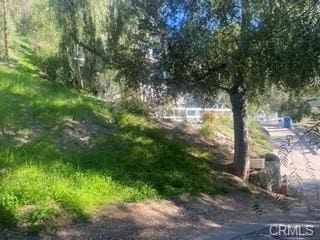 4624 Abargo St, Woodland Hills, CA 91364 - photo 5