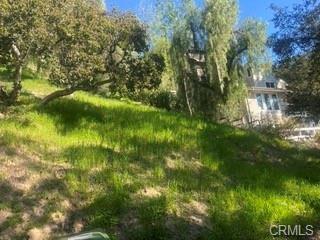 4624 Abargo St, Woodland Hills, CA 91364 - photo 3