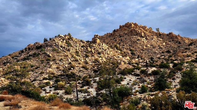 10 W Omega Trl, Yucca Valley CA, 92284 land for sale