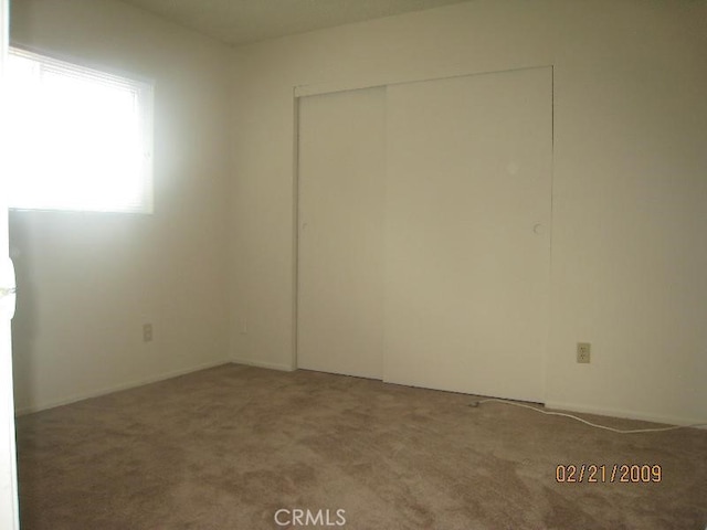 interior space featuring carpet floors