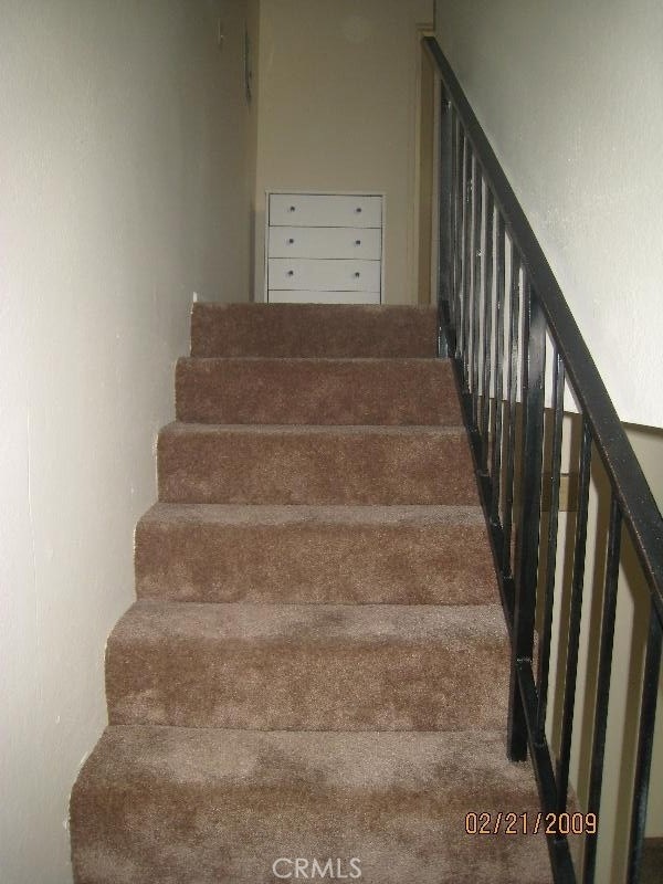 staircase with carpet floors