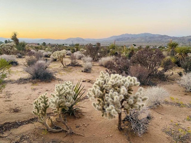 Listing photo 2 for 0 Agave Rd, Joshua Tree CA 92252