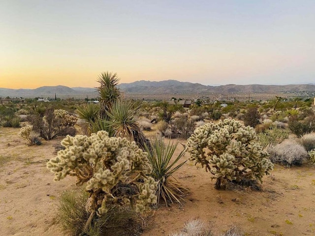 0 Agave Rd, Joshua Tree CA, 92252 land for sale