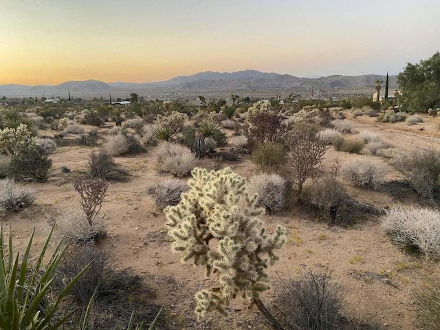 Listing photo 3 for 0 Agave Rd, Joshua Tree CA 92252