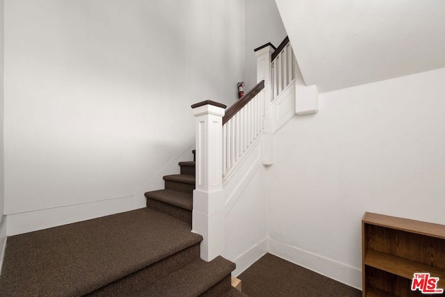 stairs featuring carpet flooring