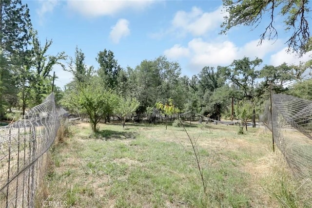 view of yard with a rural view