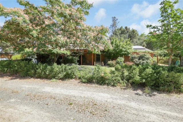 view of property hidden behind natural elements