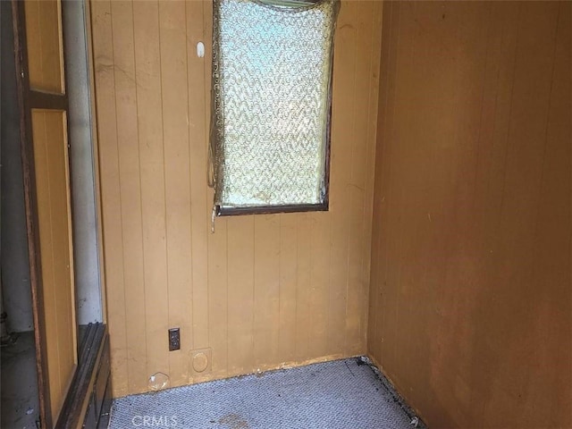 unfurnished room featuring wooden walls and carpet floors