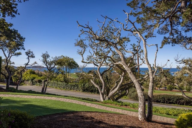 view of home's community with a yard and a water view