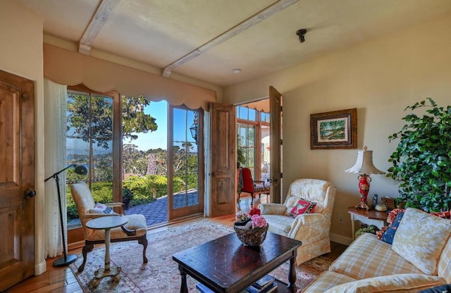 living room with light wood-type flooring and french doors