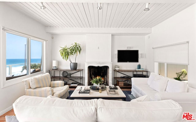 living room featuring a water view, rail lighting, wood ceiling, and wood-type flooring