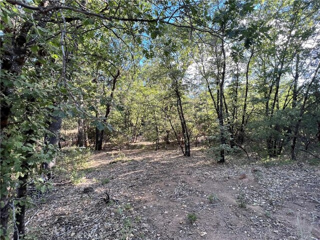 9204 Diamond Dust Trl, Kelseyville, CA 95451 - photo 3