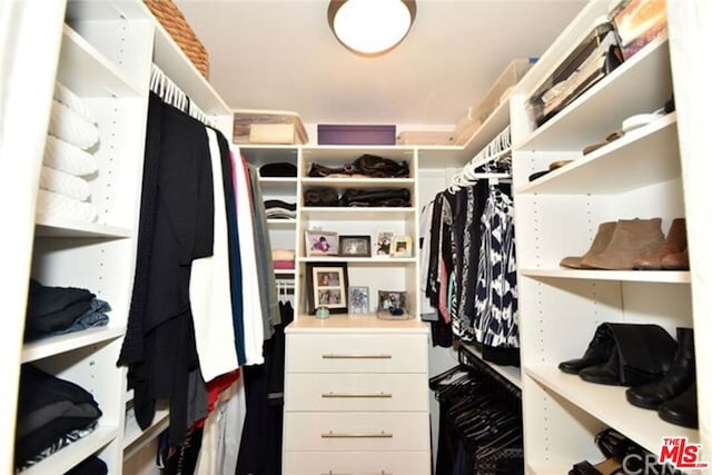 view of walk in closet