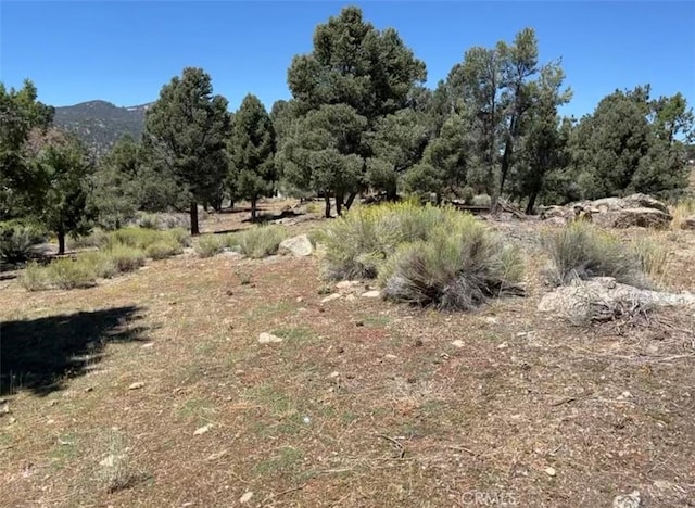 0 Golden Rod, Big Bear City CA, 92314 land for sale