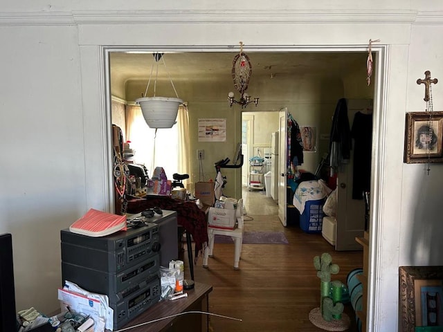 miscellaneous room with dark wood-type flooring