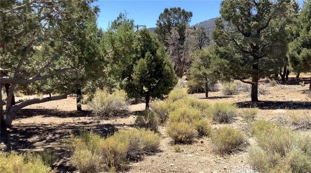 0 Serpentine Dr, Big Bear City, CA 92314 - photo 5