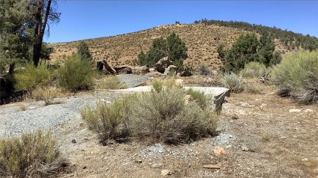 0 Serpentine Dr, Big Bear City, CA 92314 - photo 6