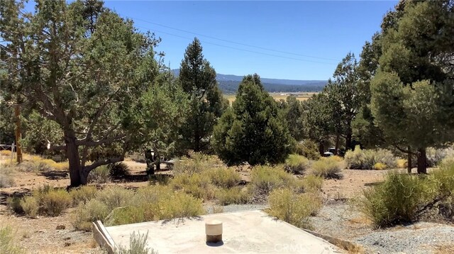 0 Serpentine Dr, Big Bear City, CA 92314 - photo 4
