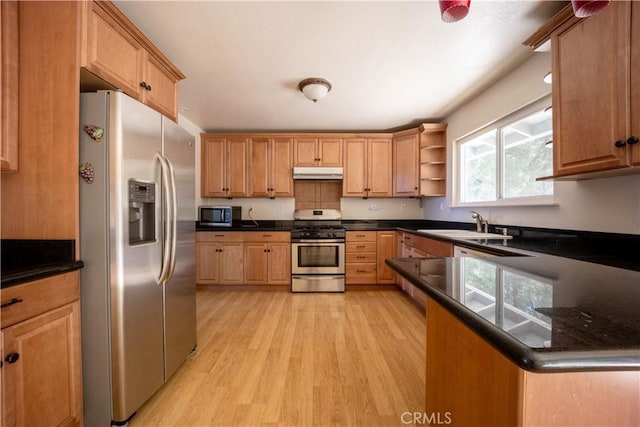 kitchen featuring sink, light hardwood / wood-style flooring, and appliances with stainless steel finishes