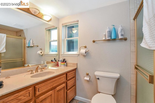 bathroom with toilet and vanity