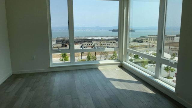 empty room featuring a water view and wood-type flooring