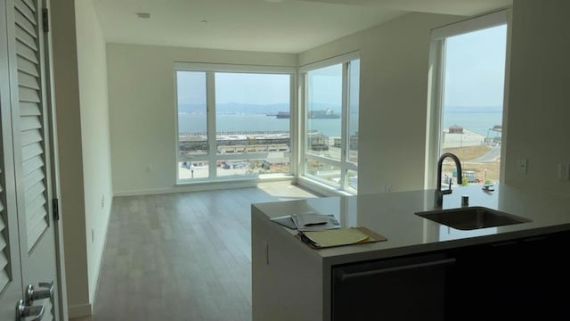 kitchen with sink, a water view, a healthy amount of sunlight, and light wood-type flooring