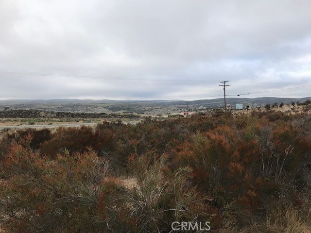 0 Cary Rd, Anza CA, 92539 land for sale