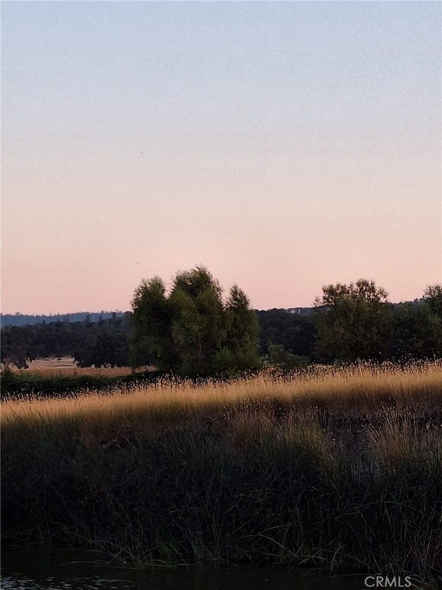 view of nature at dusk