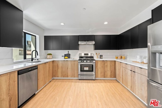 kitchen featuring light wood-type flooring, stainless steel appliances, and sink