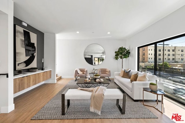 living room with light hardwood / wood-style floors