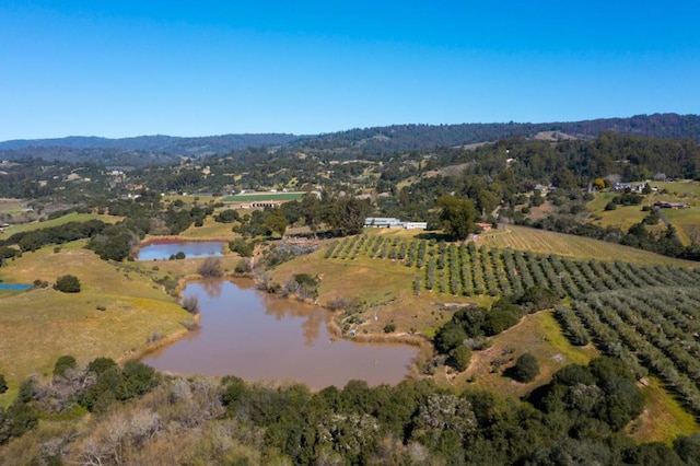 birds eye view of property with a rural view and a water view