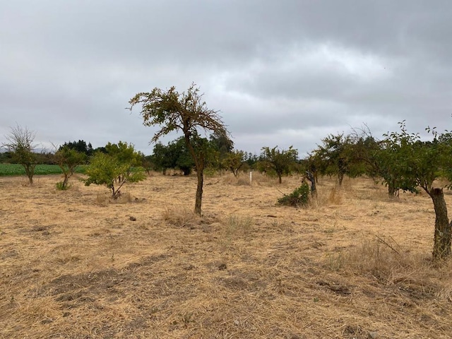 view of landscape featuring a rural view