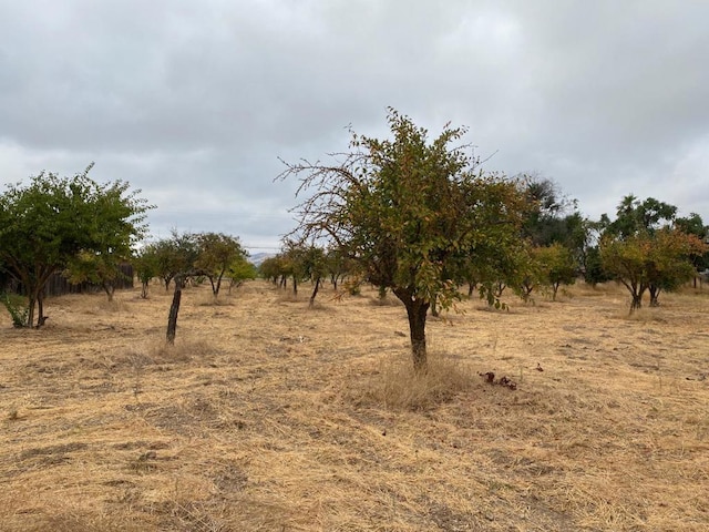 view of landscape with a rural view