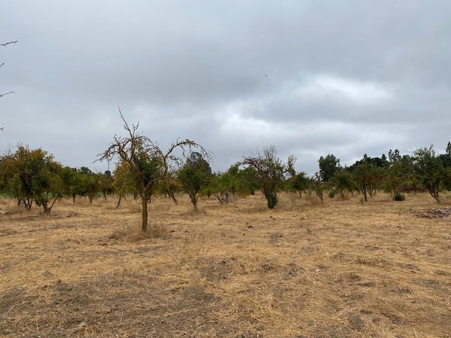 view of local wilderness featuring a rural view