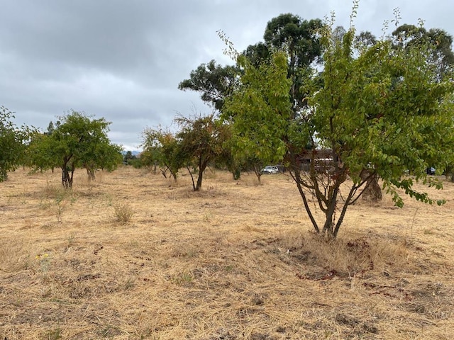 view of local wilderness with a rural view