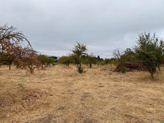 view of local wilderness with a rural view