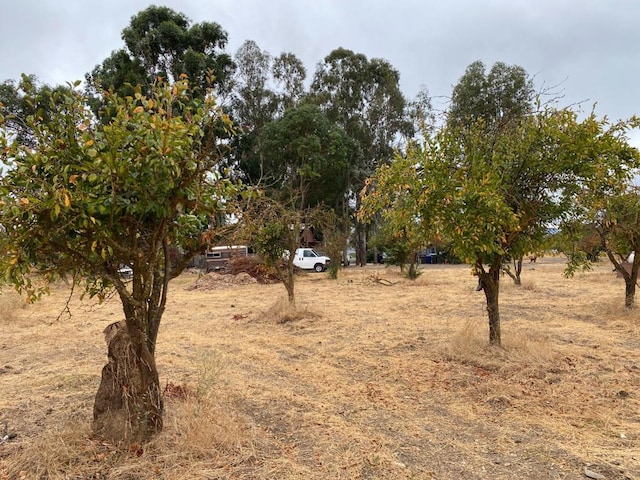 view of nature featuring a rural view