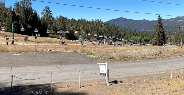 1483 Lassen Dr, Big Bear City, CA 92315 - photo 6