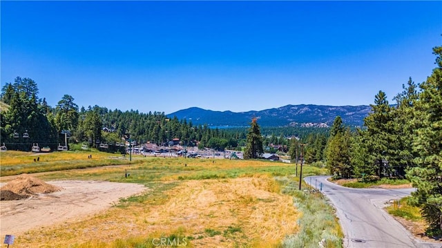 1483 Lassen Dr, Big Bear City, CA 92315 - photo 16